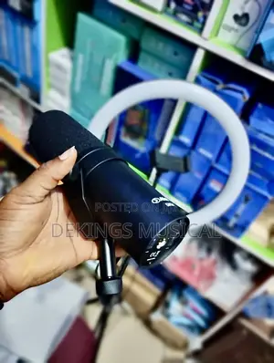 Photo - Alctron Bd710 Recording Studio Condenser Microphone