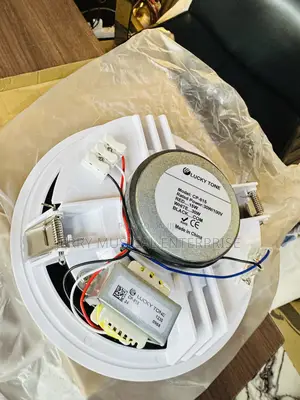 30watts Ceiling Speakers With Woofer
