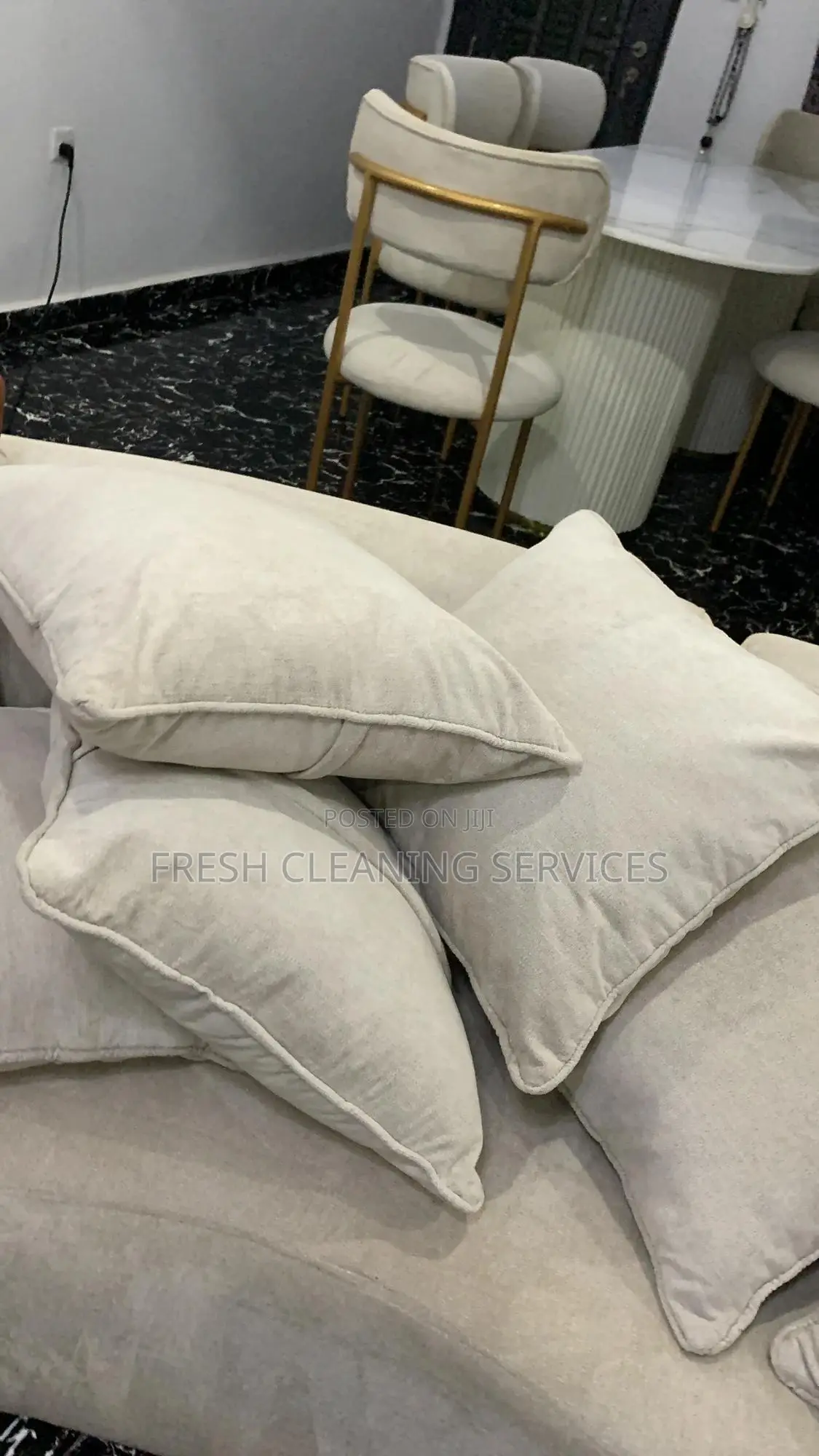 We Offer Professional Cleaning Services