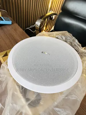 Original 30watts Ceiling Speaker