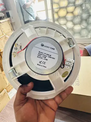 High Quality Sound Ceiling Speakers