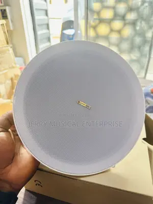 High Quality Sound Ceiling Speakers
