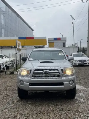 Toyota Tacoma 2010 Silver