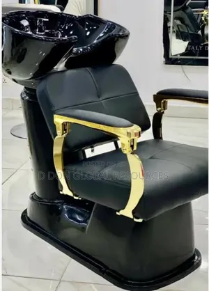 Salon Chair