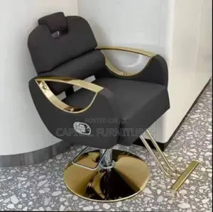 Imported Recline Saloon Leather Chair