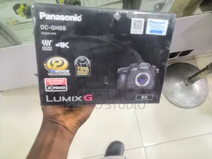 Panasonic Gh5s