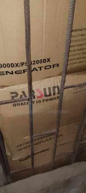 Good Quality Parsun Generator Manual 2800watts