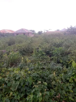 Photo - Lands and Properties for Sale