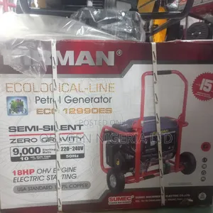 Firman Eco12990es Heavy Duty Generator Set