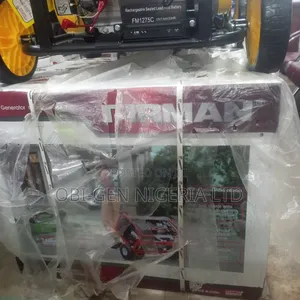 Firman Eco12990es Heavy Duty Generator Set