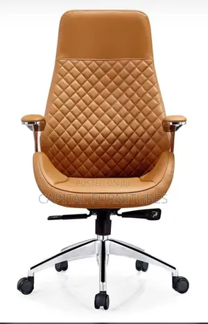 Imported Ergonomic Foreign Chair