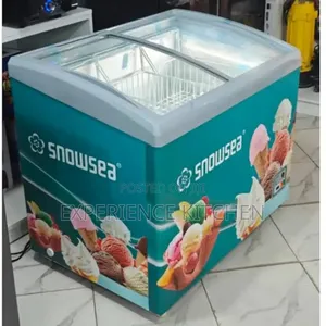 Snowsea Ice Cream Display