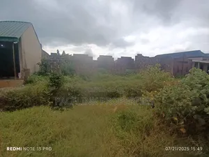 Full Plot of Land Fence Gate