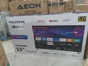 Simple Polystar Pv-Hk55flsm With Netflix Support