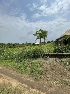 More Than 1000 Plots of Land