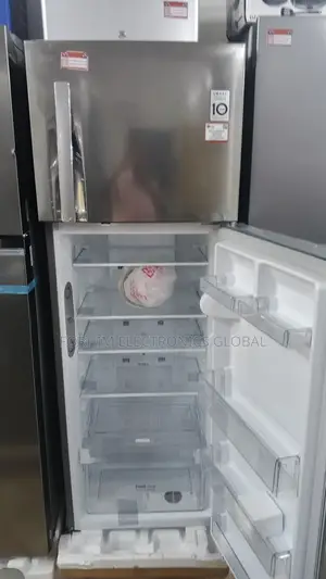 Lg Inverter Unique Fridge