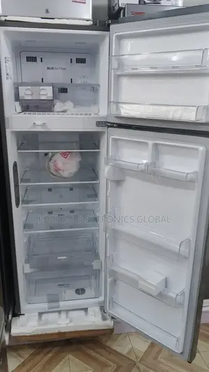 Lg Inverter Unique Fridge