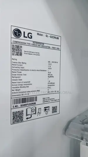 Lg Inverter Unique Fridge
