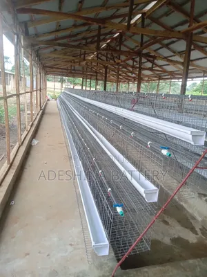 Poultry Cages