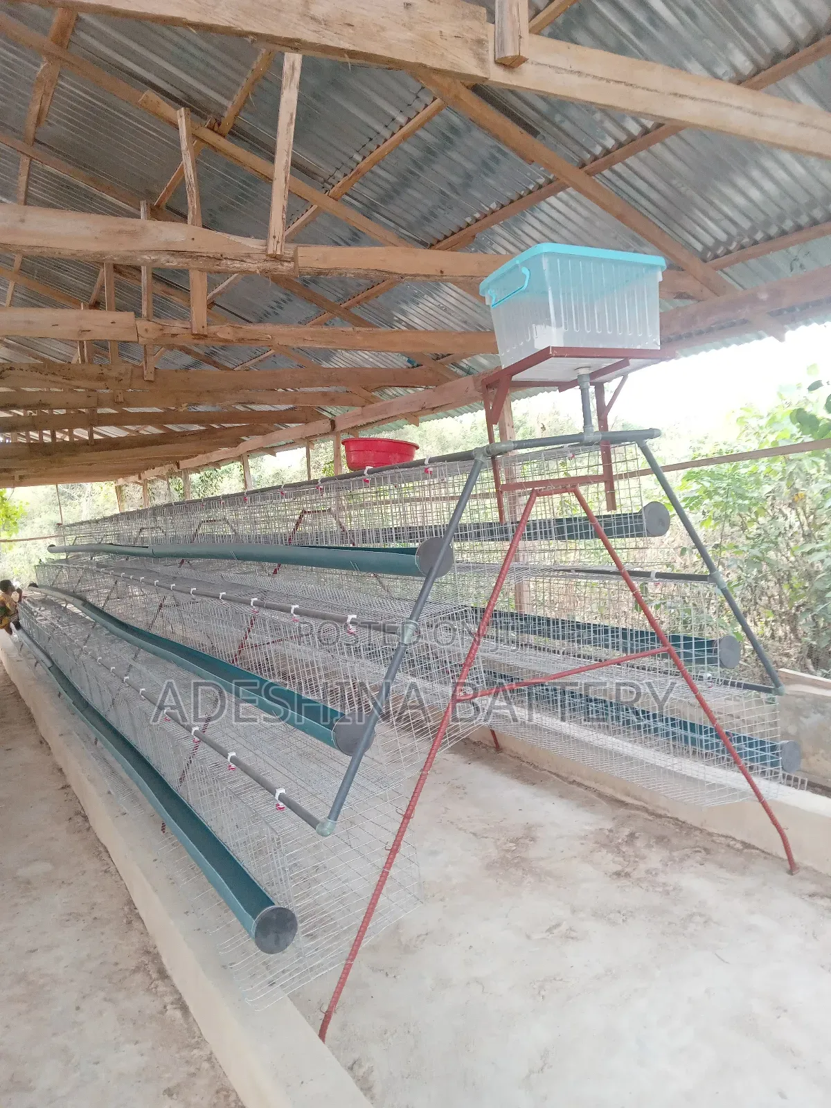 Chicken Cages