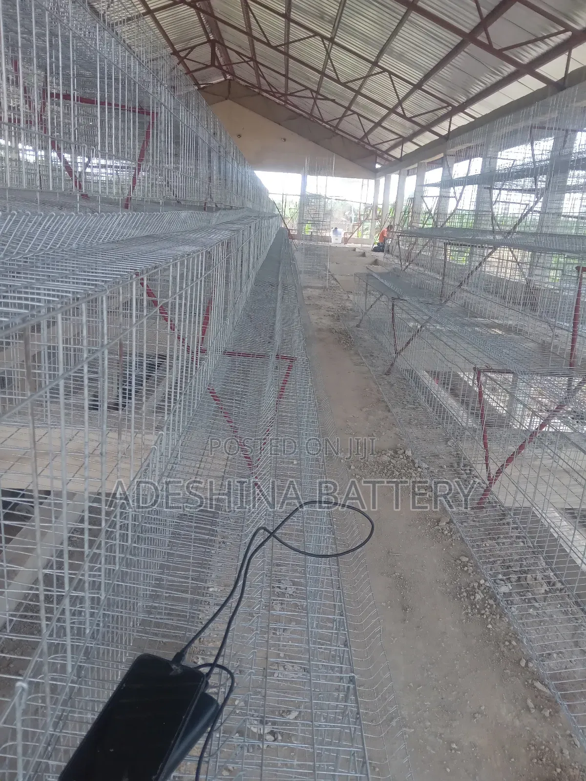Chicken Cages