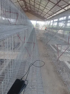 Chicken Cages