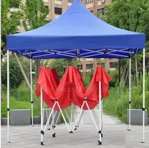 10*10 Canopy