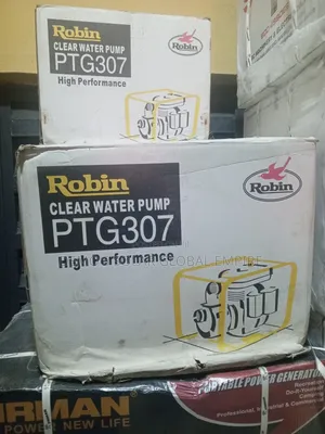 Robin Pumping Water Ptg307