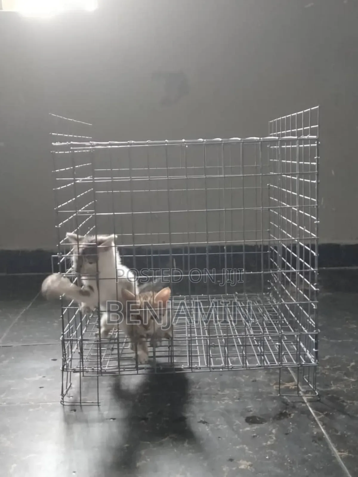 Mini Cat Cage