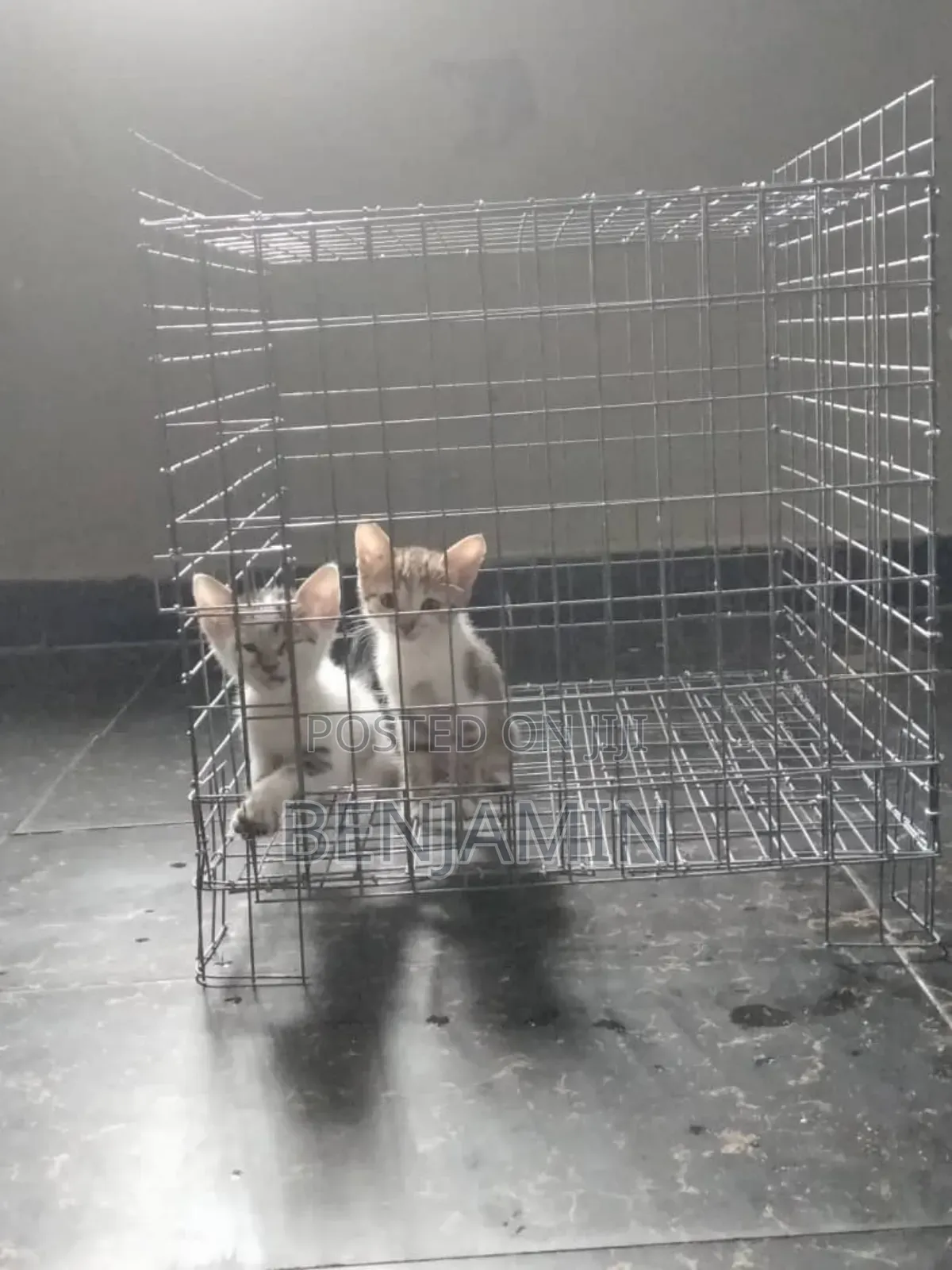 Mini Cat Cage