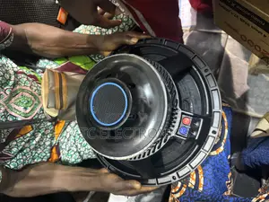 Original Titanic 15 Inches 2000watts Naked Speaker