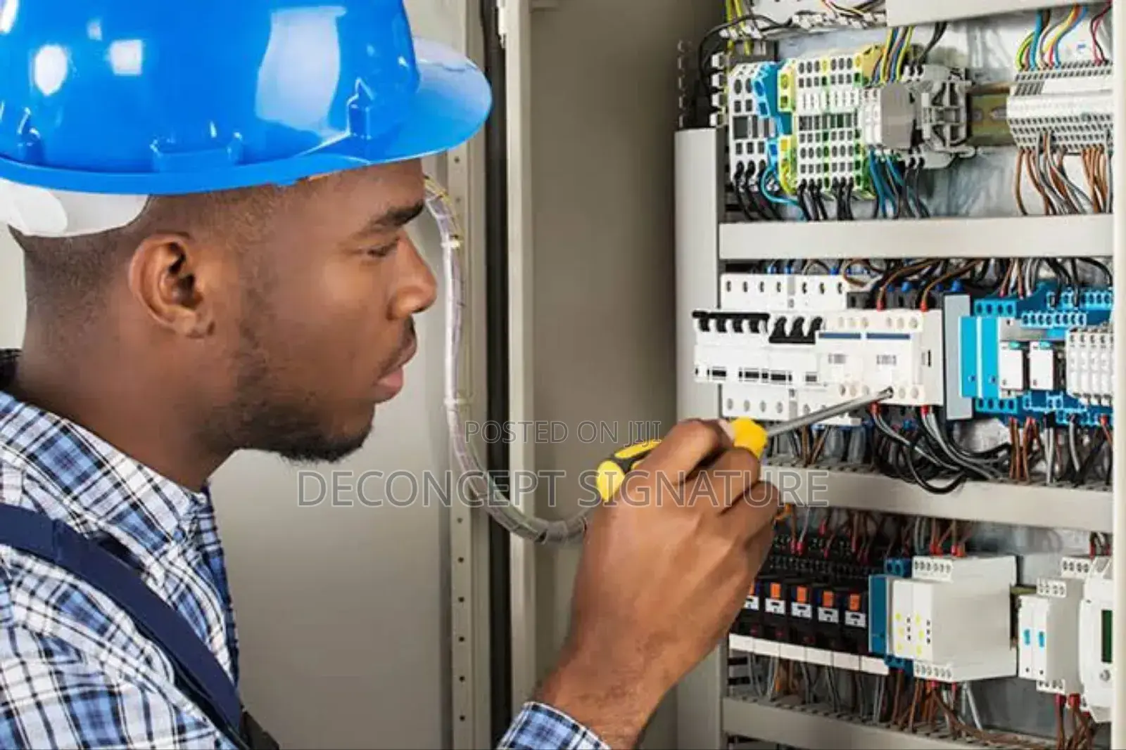 Professional Electrician