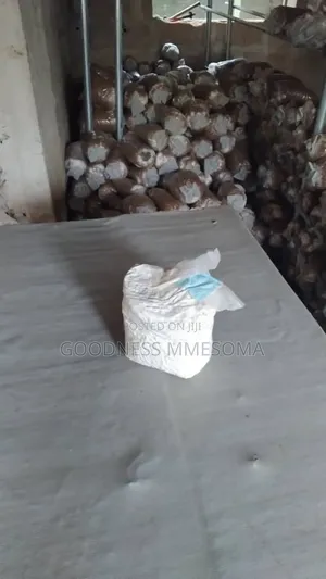 Mushroom for Sale