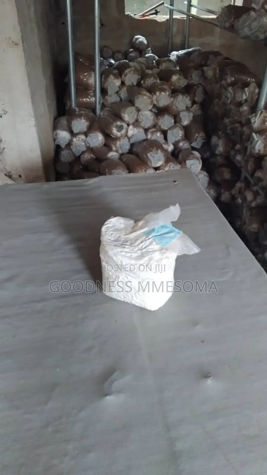 Mushroom for Sale