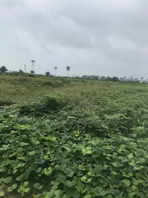 Estate Land For Sale Along Airport Road
