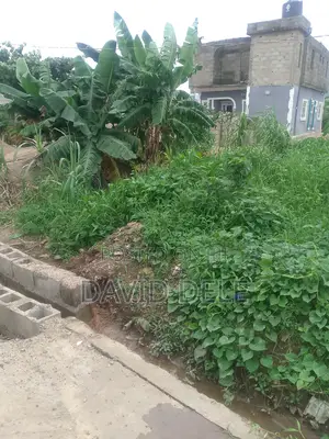 Near Lagos Abeokuta Express, Ajegunle Bus -Stop