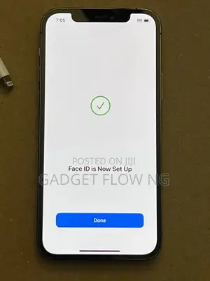 Apple iPhone 12 Pro 128 GB Gray