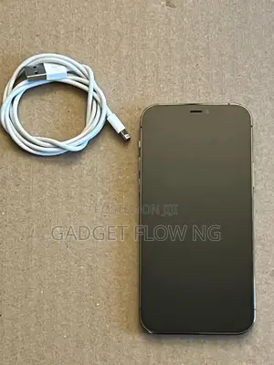 Apple iPhone 12 Pro 128 GB Gray