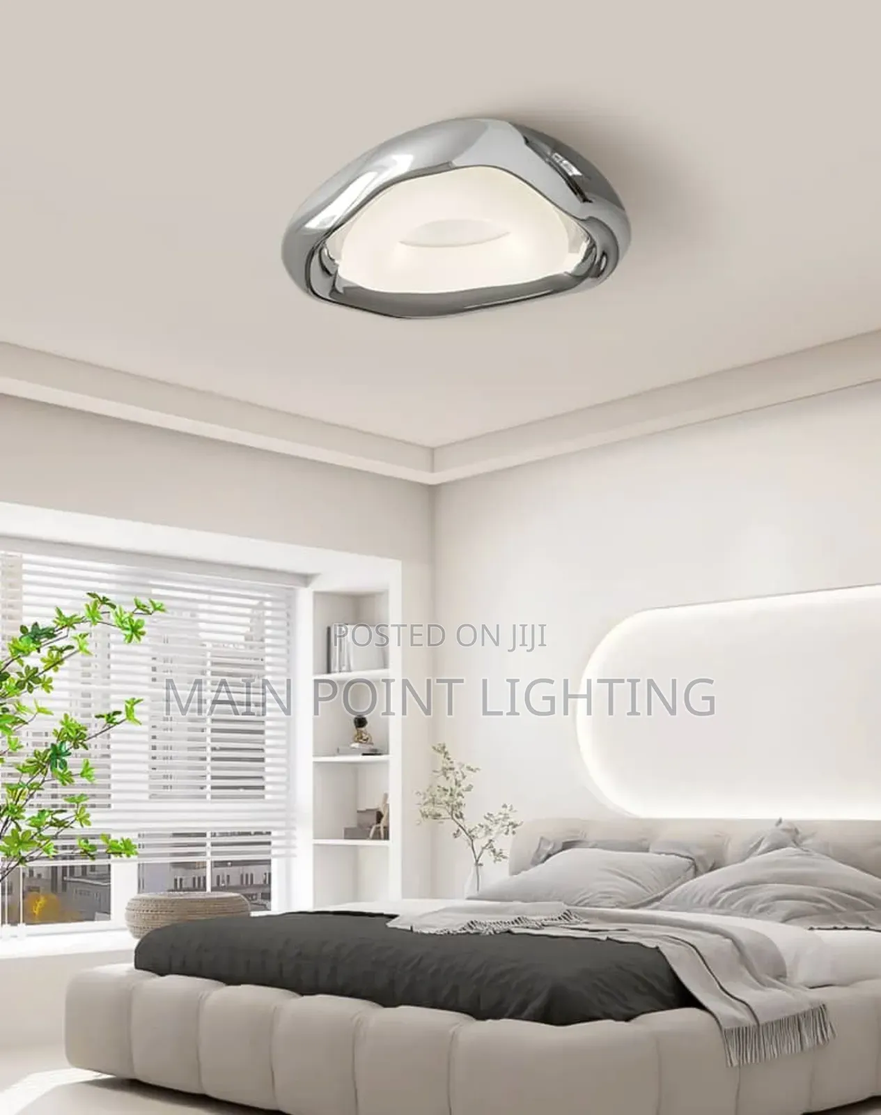 Ceiling Light