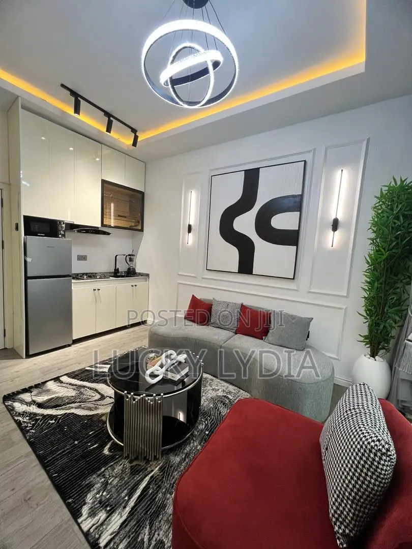 Luxury Apartment