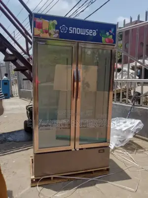 Snowsea Double Door Chiller Display Refrigerator | Lc 700