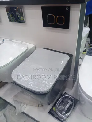 Square Black Conceal Water Closet