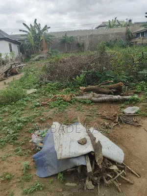 Half Plot of Land Fence Round at Shefun Ayobo Lagos
