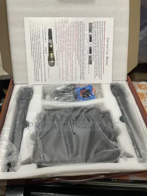 Classic Audio Wireless Mic Ca-100b