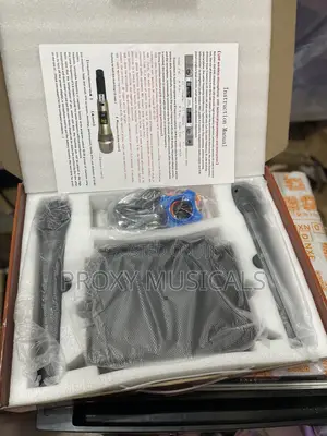 Classic Audio Wireless Mic Ca-100b