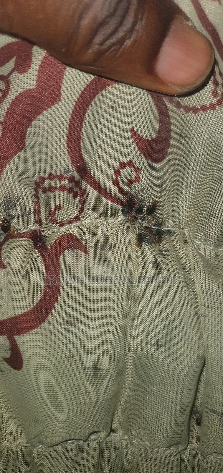 Fumigation Services | Pest and Insect Control