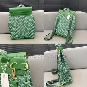Goyard Luxury Back Bag