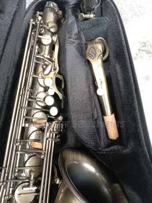 Selmer Alto Saxophone