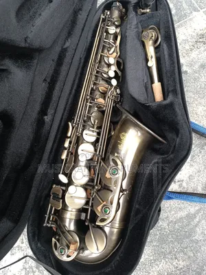 Selmer Alto Saxophone