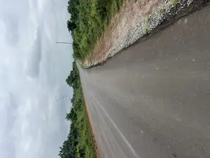 715 Acres of Land for Sale in Iseyin With C of O Along.